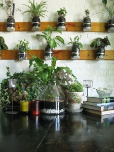 Baby Jar Wall Garden Design