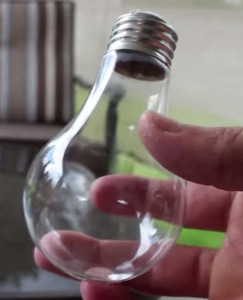 Clear Light Bulb as Magnifier