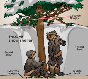 Tree-pit snow shelter