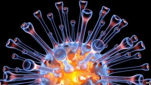 Image of Influenza Virus