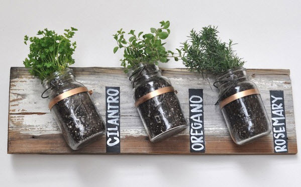 Basic Mason Jar Herb Garden