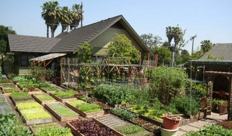 Beautiful Homestead with gardens
