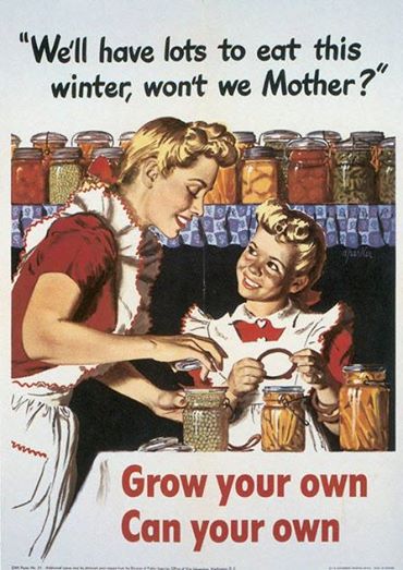 Canned food "Lots to Eat"