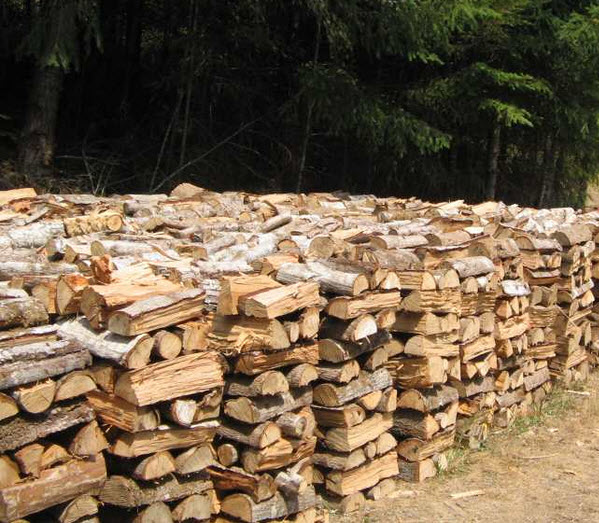 Stacked fresh Wood piles