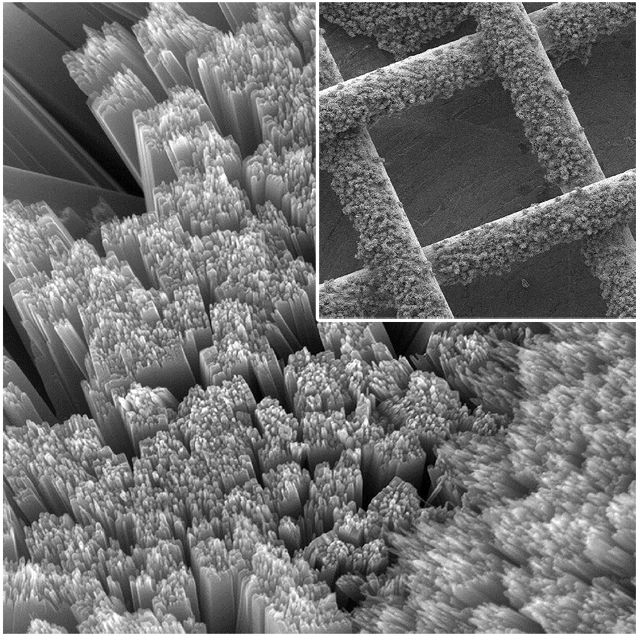 Solar panel mesh